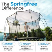 Springfree FlexrStep V2 Trampoline Ladder with Safety Lock, Silver/Black