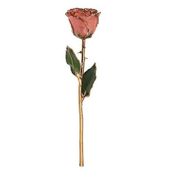 Forever Rose, a Genuine, One of a Kind, Real Pink Rose, Hand Dipped in Lacquer and Trimmed in 24K Gold