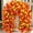 B, variant on HAJAGP Fall Bougainvillea Wall-Mounted Hanging Basket Artificial Plant for Indoor Outdoor Garden (Red)