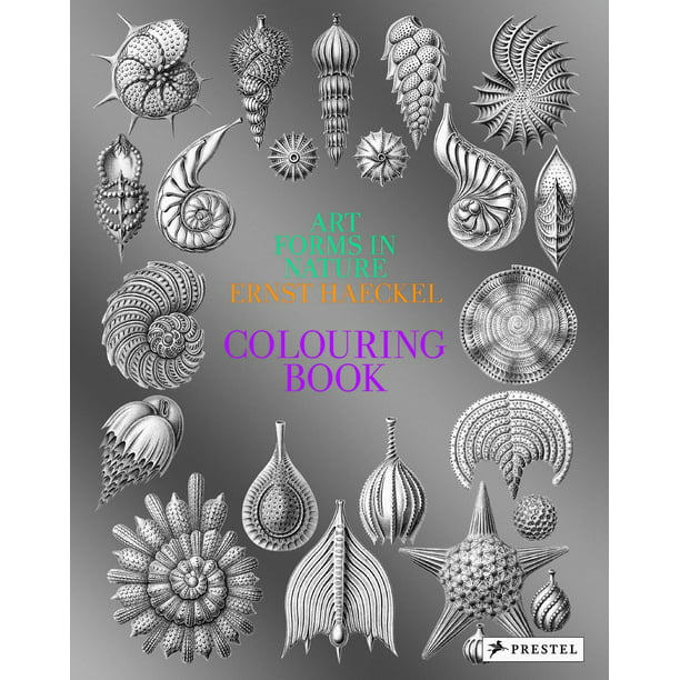 Art Forms In Nature A Colouring Book Of Ernst Haeckel S Prints Paperback Walmart Com Walmart Com