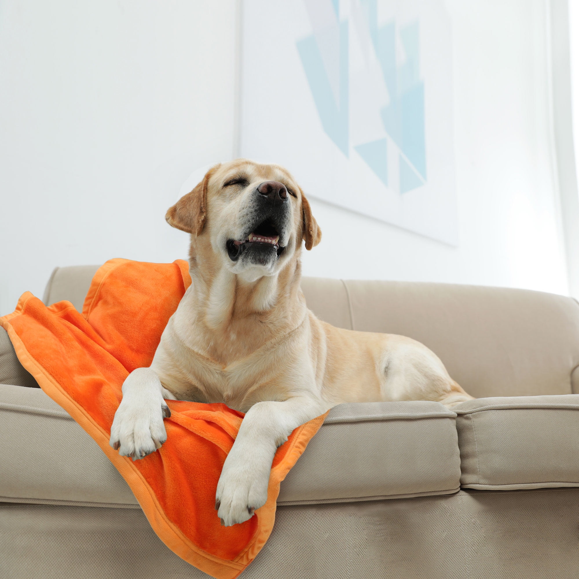 Unique Bargains Flannel Fleece Blanket Soft Wide Hemmed 30"x40" Orange