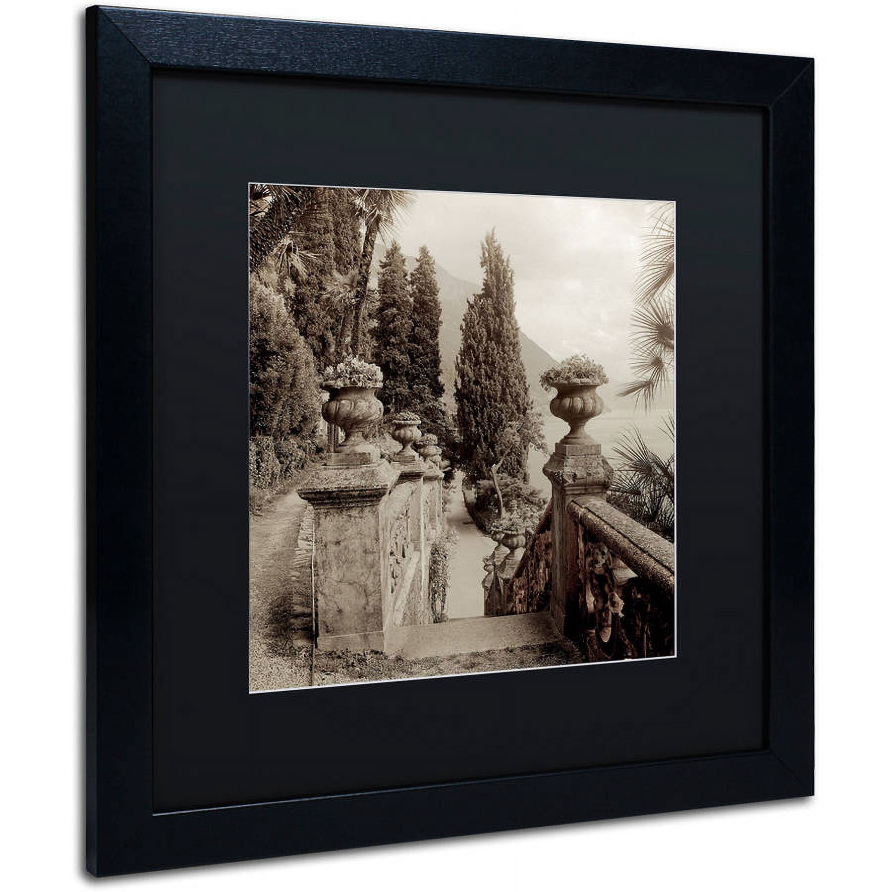 Trademark Fine Art "Lombardy VIII" Canvas Art by Alan Blaustein, Black Matte, Black Frame