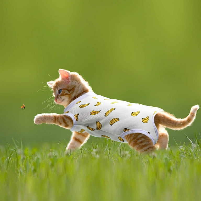 2 Pieces Kitten Cat Recovery Suit Soft Breathable Kitten Recovery