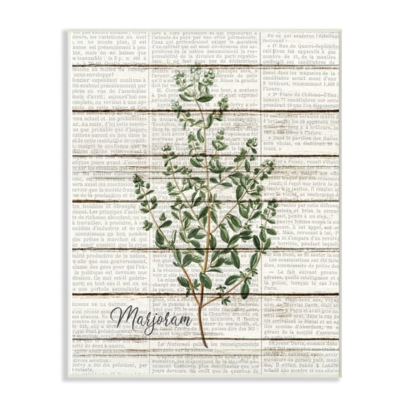 Stupell Industries Marjoram Vintage Herb Kitchen Dining Room Word Collage Design Wall Plaque Art by Kimberly Allen