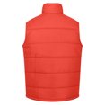 thumbnail image 3 of Regatta Mens Standout Altoona Insulated Bodywarmer Jacket, 3 of 3
