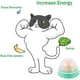 thumbnail image 4 of Juguete de hierba gatera, juego de bola de hierba gatera 4 en 1 para gatos, juguete de bola de tratamiento de nutrición para gatos oso de fresa Juguete, 4 of 6
