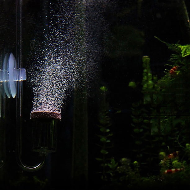 Poity 2-in-1 Acrylic CO2 Diffuser + Bubble Counter For Aquarium Plants – Size L, Clear