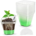 thumbnail image 1 of Macetas transparentes para plantas, 12 paquetes de macetas para iniciar semillas, macetas de plástico de 3,1 pulgadas con agujeros de drenaje (verde), 1 of 5
