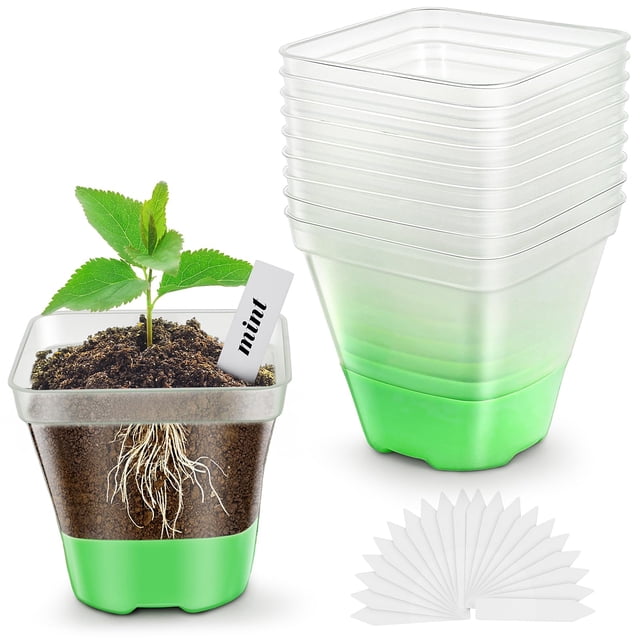 Macetas transparentes para plantas, 12 paquetes de macetas para iniciar semillas, macetas de plástico de 3,1 pulgadas con agujeros de drenaje (verde)
