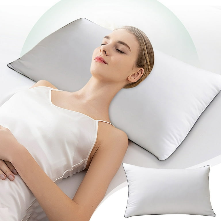 Sales Clearance Today! Goose Down Feather Pillows Queen Size