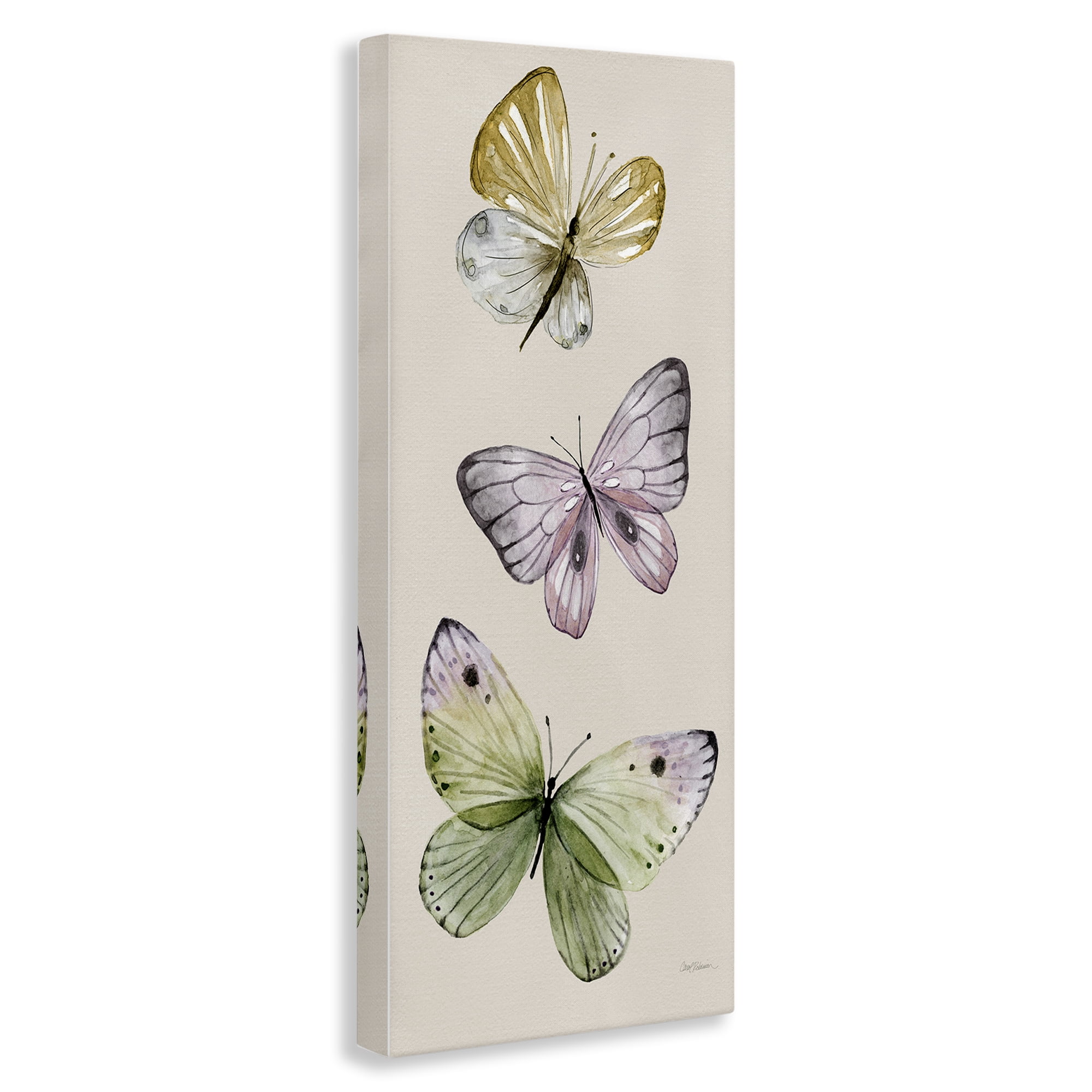 Stupell Industries Three Timeless Butterflies Animals & Insects Painting Gallery Wrapped Canvas Art Print Wall Art, 20 x 48