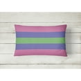 thumbnail image 2 of Carolines Treasures CK8007PW1216 Trigender Pride Canvas Fabric Decorative Pillow 12H x16W multicolor, 2 of 4