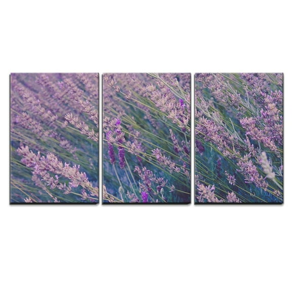 wall26 - 3 Piece Canvas Wall Art - Closeup of Lavender Flowers Field - Modern Home Art Stretched and Framed Ready to Hang - 16"x24"x3 Panels