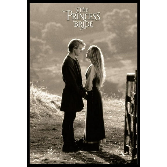 Princess Bride Movie Poster Laminated & Framed Poster (24 x 36)