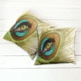 thumbnail image 6 of Ambesonne Colorful Throw Pillow Cover 2 Pack, Peacock Feather Eye, 16", Green Brown Turquoise, 6 of 7
