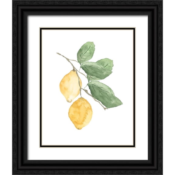 Price, Lucille 12x14 Black Ornate Wood Framed with Double Matting Museum Art Print Titled - Stem Of Lemons