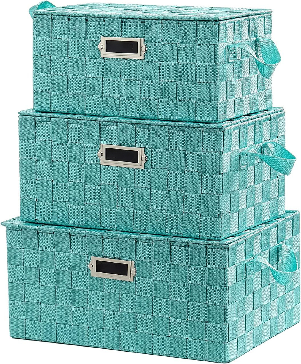 set of 3 basket Decorative Woven Strap Baskets with Lid, Label and