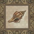 thumbnail image 2 of Poloson, Kimberly 26x26 White Modern Wood Framed Museum Art Print Titled - Shell Elegance I, 2 of 4