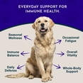 thumbnail image 3 of Animal Essentials Super Immune Herbal Formula For Dogs And Cats 2-Ounce, 3 of 9