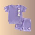 thumbnail image 4 of Niña Bebé Ropa de Verano Elegante Bordado Floral Cuello Redondo Pantalones Cortos de Manga Corta Dos Piezas Conjunto de Tejido Suave Transpirable, 4 of 8