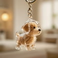 thumbnail image 4 of Dog Hair Collector Keychain Charm Memorial Storage Box, Pet Hair Memorial Keepsake, Transparent Cute Keychain, 4 of 8