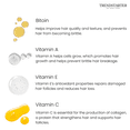 thumbnail image 6 of TRENDSTARTER - Daily Care Hydrating Shampoo & Conditioner, 10.14oz DUO, 6 of 6