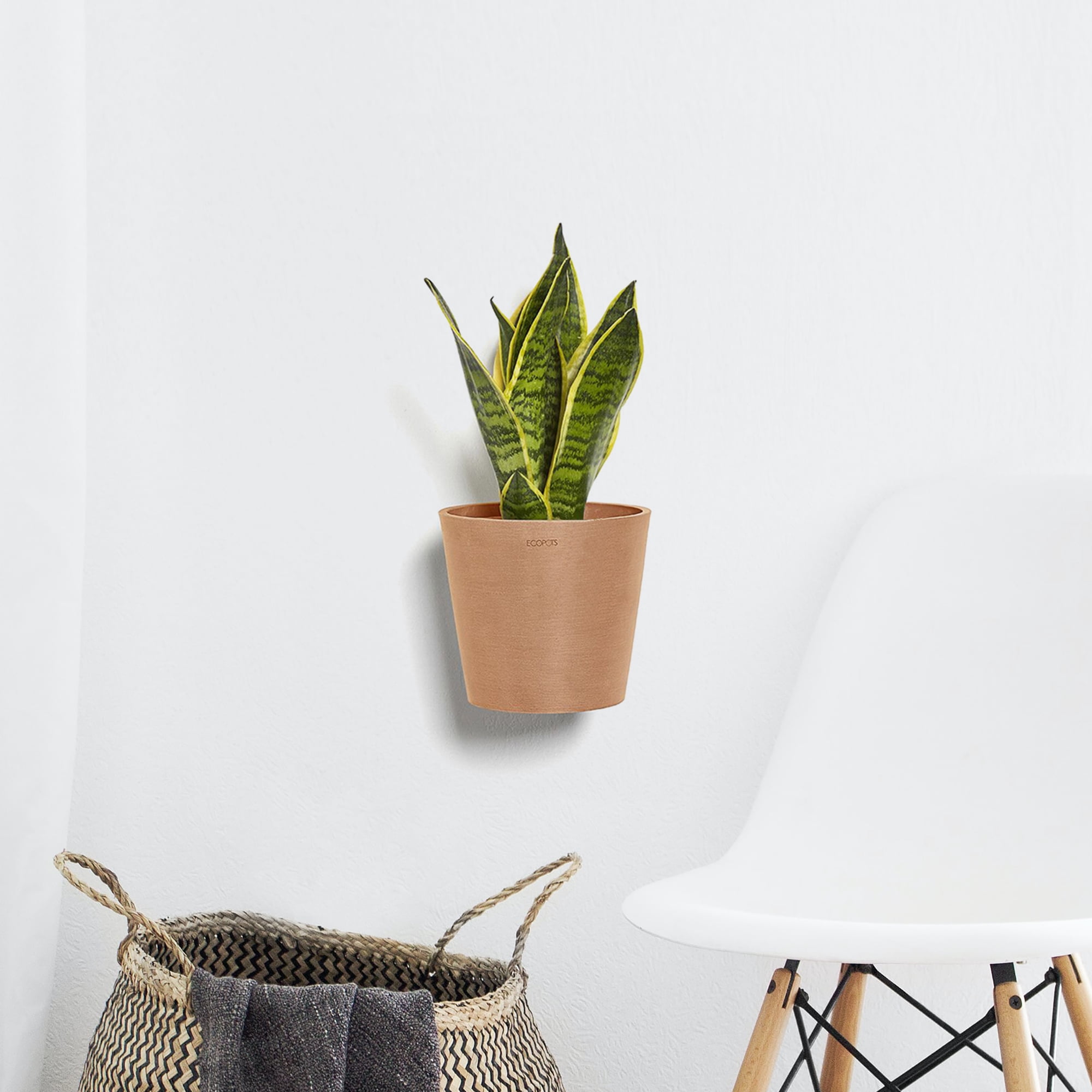 Ecopots Amsterdam Wall Durable Modern Round Indoor/Outdoor Recycled Based Composite Hanging Flower Pot Planter, Terracotta Color, 8"
