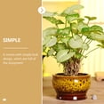 thumbnail image 3 of 5 macetas pequeñas para suculentas, cactus y flores., 3 of 5