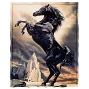 YISUEMI 60x80 inches Blanket Throw Comfort Warmth Soft Plush Throw for Couch Strong Black Horse