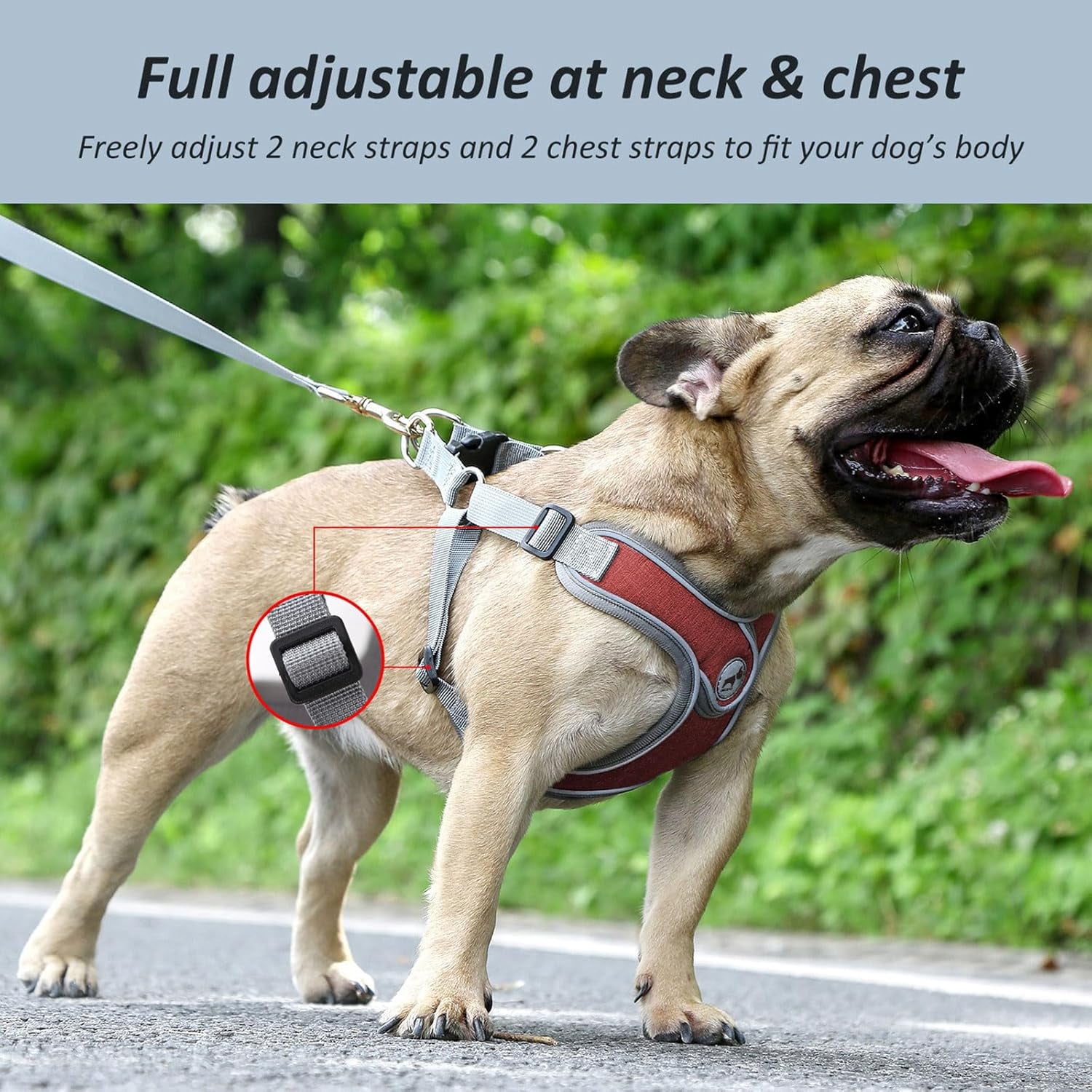 Dog Harness with Leash, Soft Adjustable Step in Reflective Strips Collars Harness Vest for Small Medium Dogs Training and Running(M, Red)