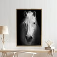 thumbnail image 2 of Contemporary Wall Art, Horse Photo Art, White Horse Canvas, White Horse Photo Print, Modern Poster, Horse Lover Gift Art, Canvas Wall Decor - Black Framed, 2 of 6