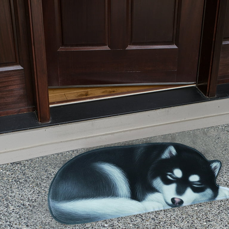 SHENGXINY Bath Rugs Clearance Cute Pet Dog Themed Carpet, Welcome