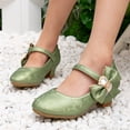 thumbnail image 2 of Girls Dress Shoes Low Heel Princess Flats Mary Jane Flower Wedding Party Glitter Shoes for Kids Toddler, 2 of 9