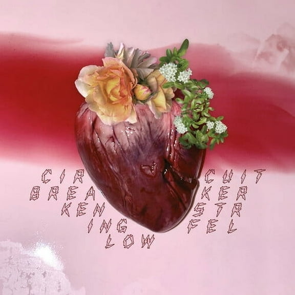 Ken Stringfellow - Circuit Breaker - Music & Performance - Vinyl