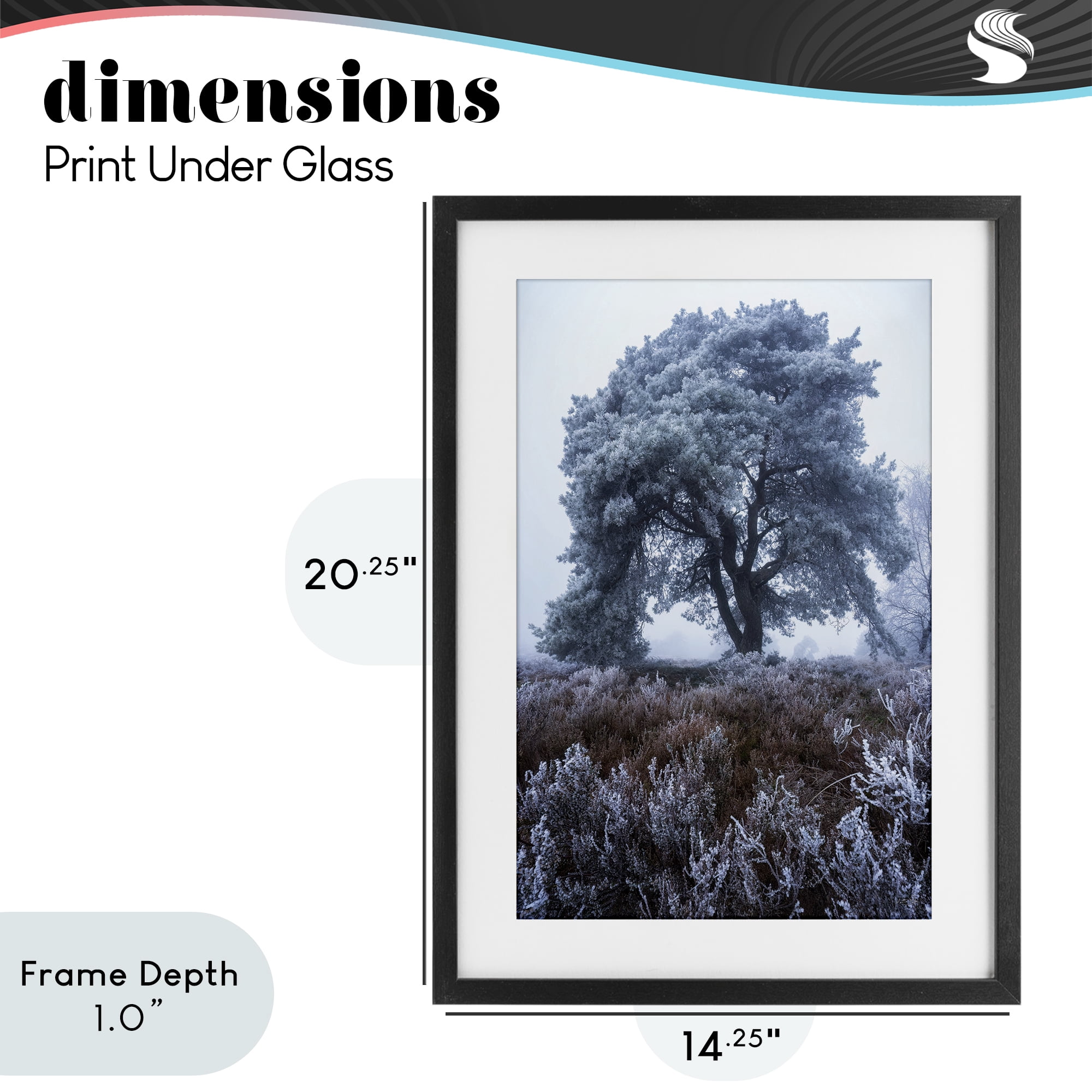 Stupell Industries Frosted Tree in Winter Mist Black Framed Print Under Glass, design by Martin Podt