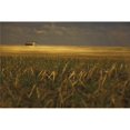 thumbnail image 1 of Posterazzi DPI1874726LARGE Tofield, Alberta, Canada - An Old Barn In A Field Poster Print, 38 x 24 - Large, 1 of 1