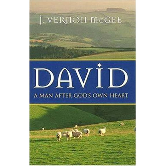 Pre-Owned David: A Man After God's Own Heart (Hardcover) 0785268219 9780785268215