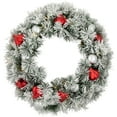 thumbnail image 2 of Northlight Pre-Lit Battery Operated Snowy Bristle Pine Christmas Wreath - 24" - Warm White LED, 2 of 5
