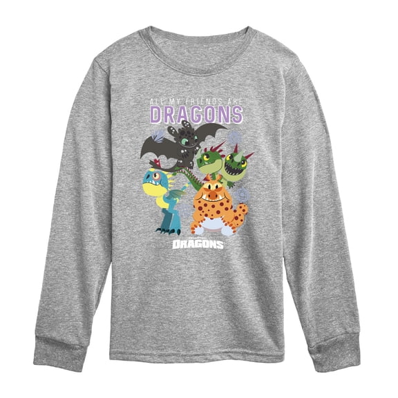 How to Train Your Dragon - All My Friends Are Dragons - Youth Boys Long Sleeve Graphic T-Shirt