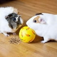 thumbnail image 2 of Pet Slow Feeder Bowl Snack Toy Feeder Toy Rabbit Toy Ball Interactive Bunny Toy for Puppy Yellow, 2 of 9