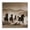 Mountain Stallions Trotting Rustic Cabin, variant on Stupell Industries Rustic Lodge Trotting Mountain Stallions Canvas Art, 17 x 17, by Noah Bay