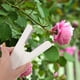 thumbnail image 5 of Herramienta para quitar espinas de hojas, desbrozadora de rosas, arreglos florales, desbrozadora de rosas, 5 of 6