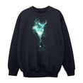 thumbnail image 2 of Harry Potter Boys Patronus Mist Stag Sweatshirt, 2 of 8
