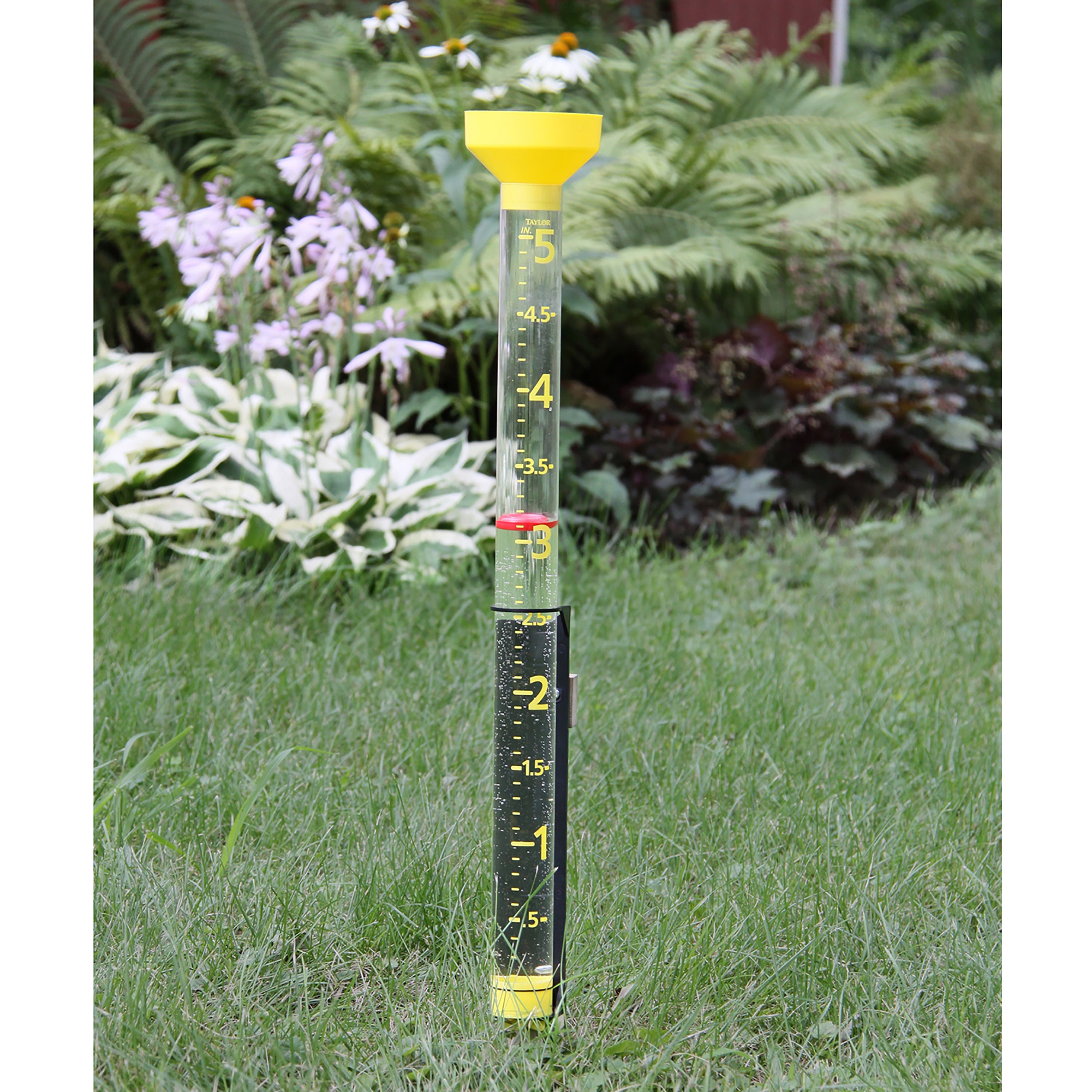 Taylor Precision Products 5-inch ClearVu Jumbo Rain Gauge
