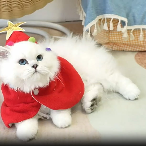 Deguisement Pour Chat Noel, Costume Noel Chat Avec Étoile Et