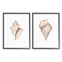 Stupell Industries Tranquil Spiral Sea Shells Soft Marine Life Illustration, 16 x 20, Design by Stephanie Workman Marrott