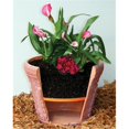 thumbnail image 1 of Insert de Pot 17 Po., 1 of 1