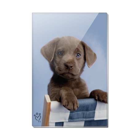

Chocolate Lab Labrador Deckchair Lounge Chair Rectangle Acrylic Fridge Refrigerator Magnet