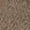 Brown, variant on Toy Machine Betard Crew Socks Brown 1Pr