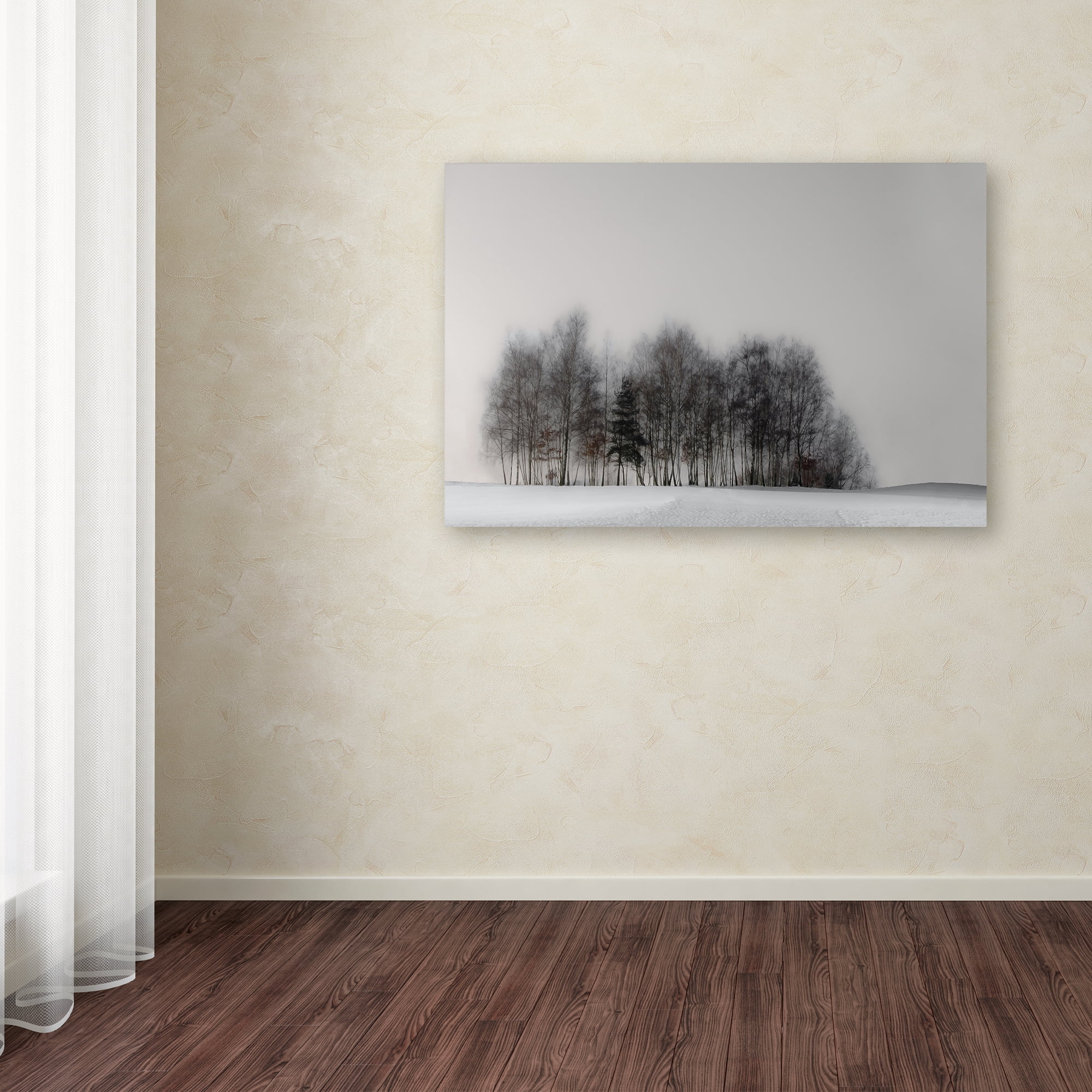 Trademark Fine Art 'Winter Forest' Canvas Art by Gilbert Claes